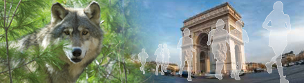 Les traces de la réussite